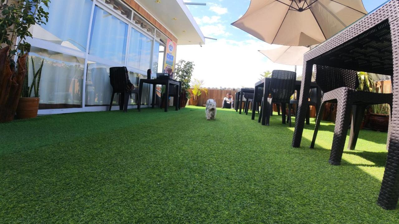 Sumaq Wari Hotel アヤクーチョ エクステリア 写真